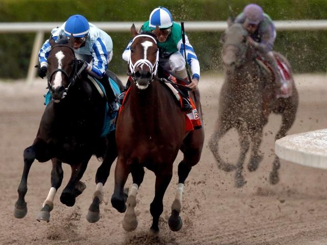 There is racing at Aqueduct on Thursday